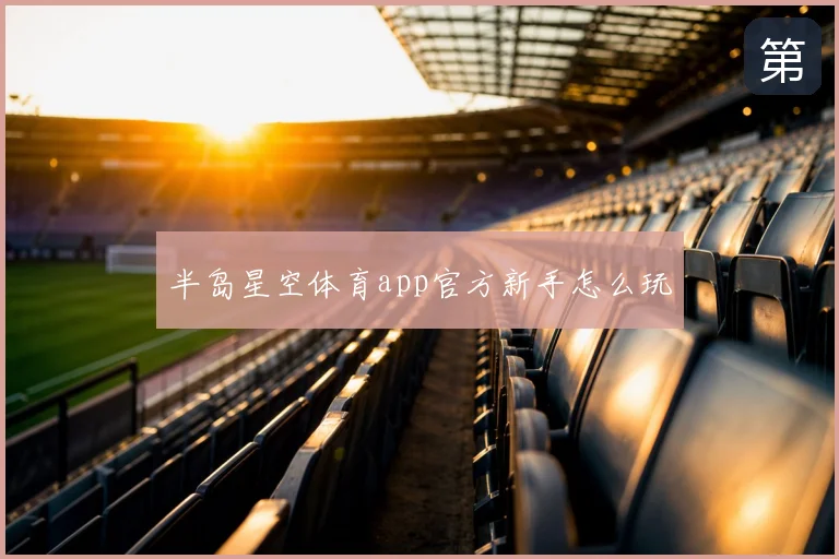 半岛星空体育app官方新手怎么玩